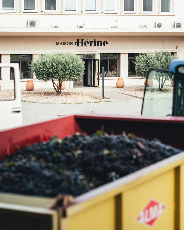 Emma Vernay - Photographe culinaire à Avignon