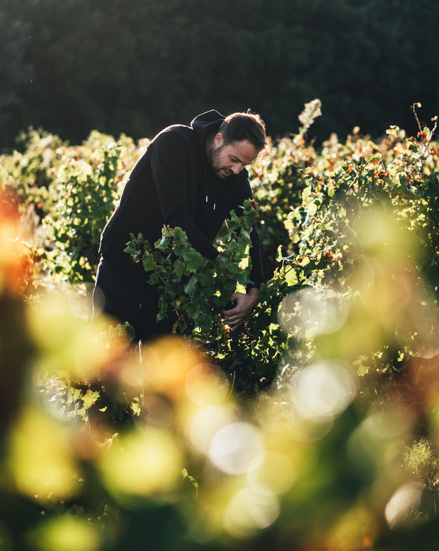 Emma Vernay - Photographe culinaire à Avignon