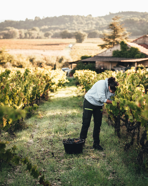 Emma Vernay - Photographe culinaire à Avignon