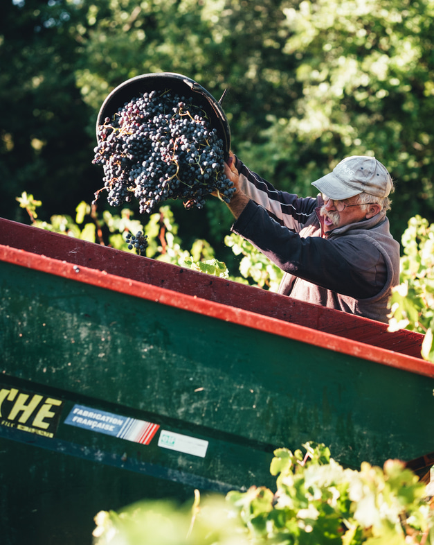 Emma Vernay - Photographe culinaire à Avignon