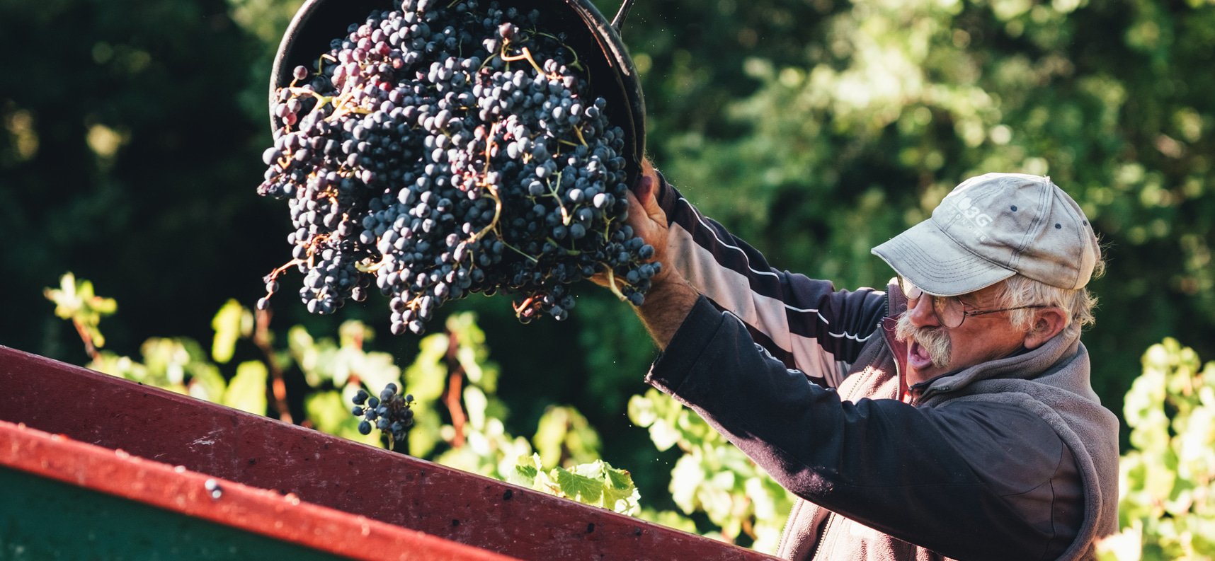 Emma Vernay - Photographe culinaire à Avignon