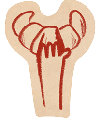 Emma Vernay - Photographe culinaire à Avignon